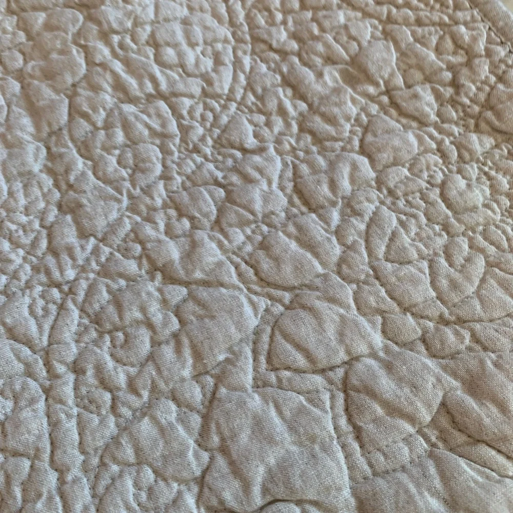 Pottery Barn Euro shams